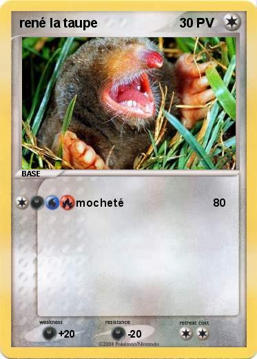 Pokemon rené la taupe