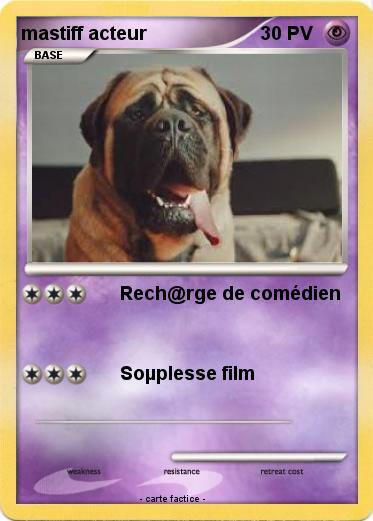 Pokemon mastiff acteur