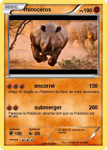 Pokemon rhinocéros