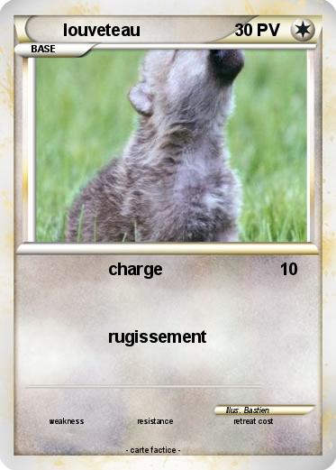 Pokemon louveteau