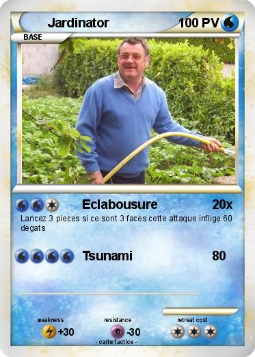 Pokemon Jardinator
