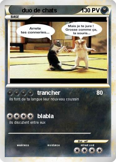 Pokemon duo de chats