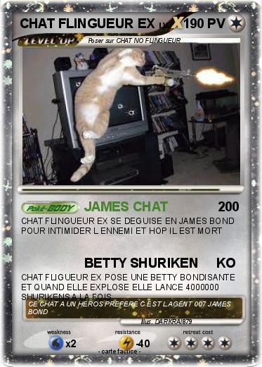 Pokemon CHAT FLINGUEUR EX