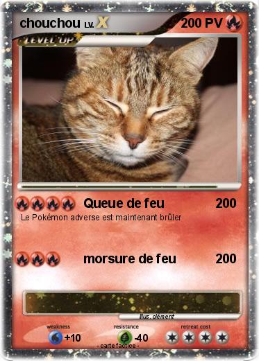 Pokemon chouchou