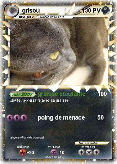 Pokemon grisou
