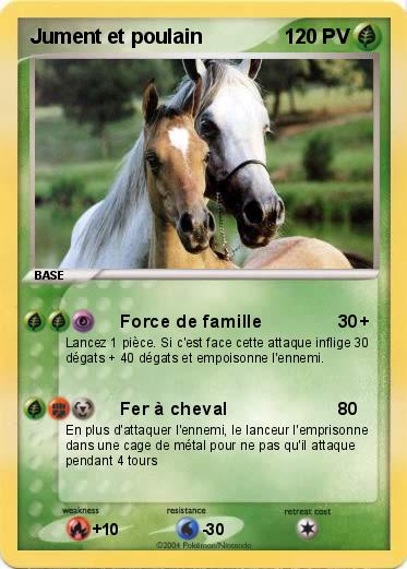 Pokemon Jument et poulain