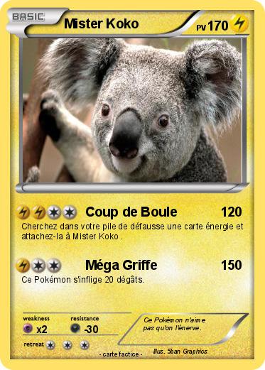 Pokemon Mister Koko