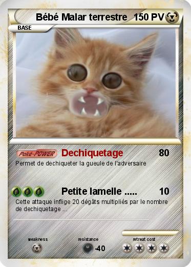 Pokemon Bébé Malar terrestre