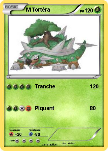 Pokemon M Tortéra