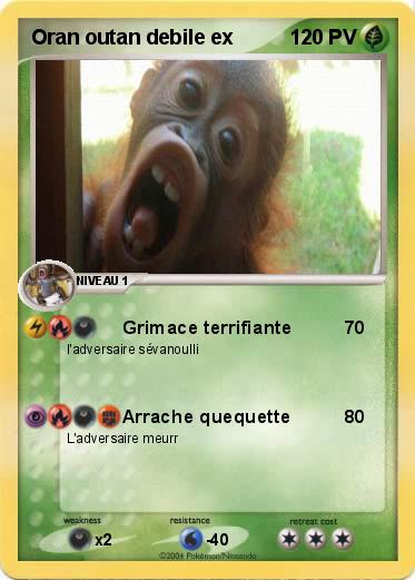 Pokemon Oran outan debile ex