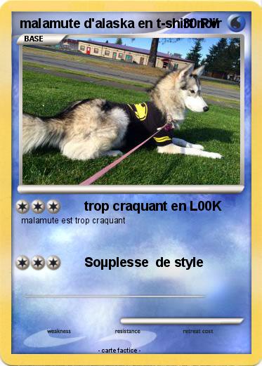 Pokemon malamute d'alaska en t-shirt noir