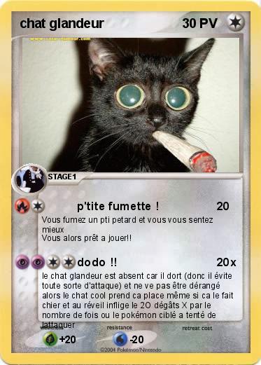 Pokemon chat glandeur 