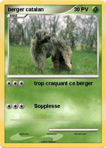 Pokemon berger catalan