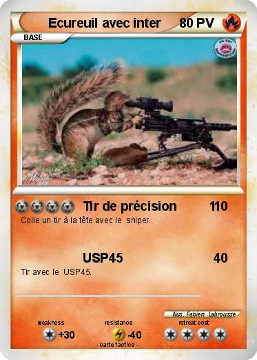 Pokemon Ecureuil avec inter