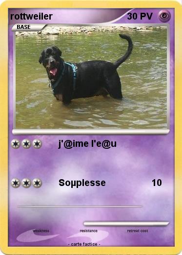 Pokemon rottweiler