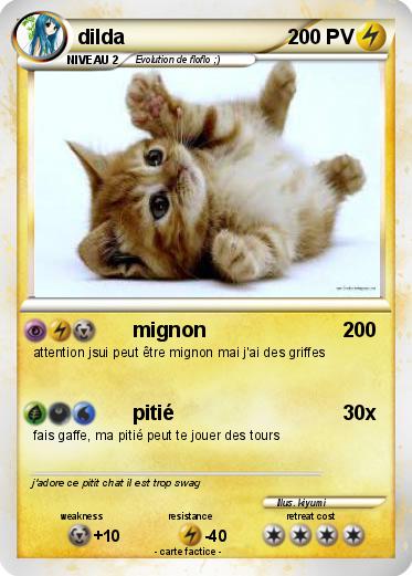Pokemon dilda