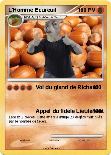 Pokemon L'Homme Ecureuil