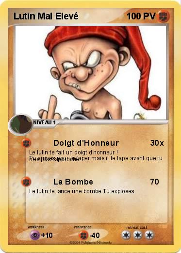 Pokemon Lutin Mal Elevé