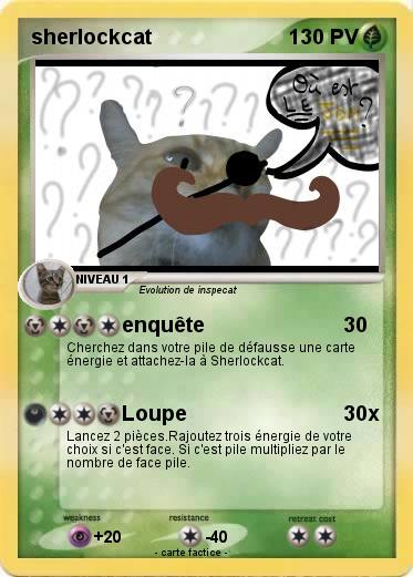 Pokemon sherlockcat