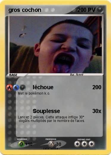 Pokemon gros cochon