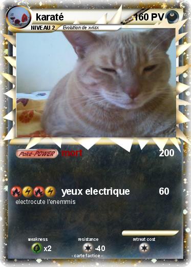 Pokemon karaté