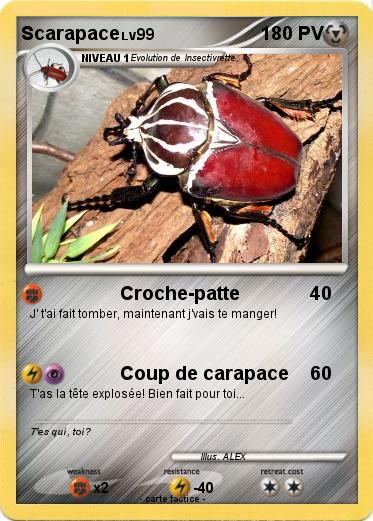 Pokemon Scarapace