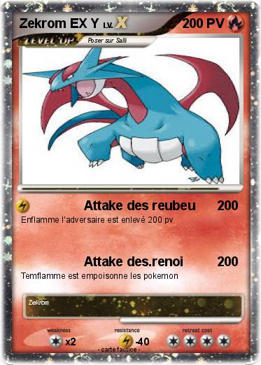 Pokemon Zekrom EX Y