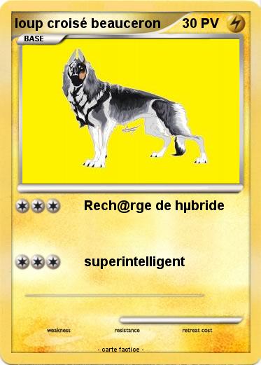 Pokemon loup croisé beauceron