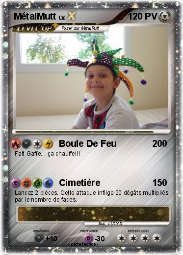Pokemon MétalMutt