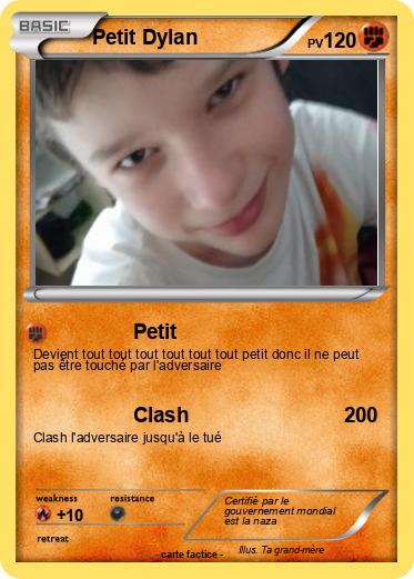 Pokemon Petit Dylan