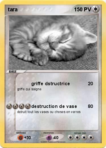 Pokemon tara