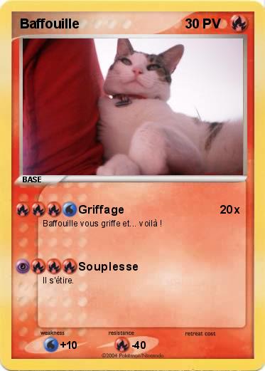 Pokemon Baffouille