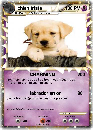 Pokemon chien triste