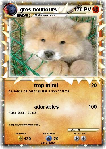 Pokemon gros nounours