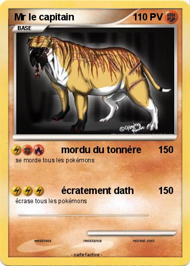 Pokemon Mr le capitain
