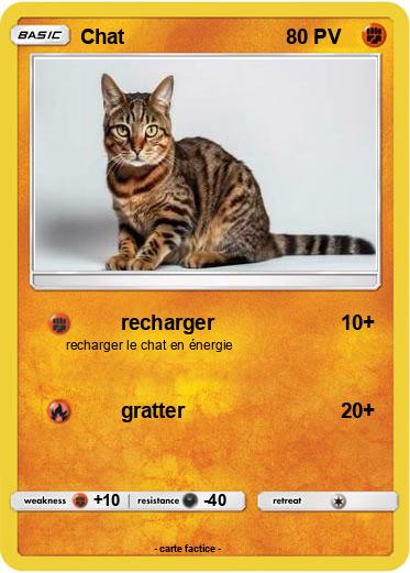 Pokemon Chat