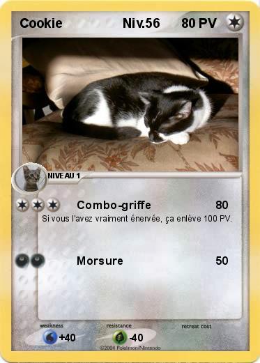 Pokemon Cookie                 Niv.56