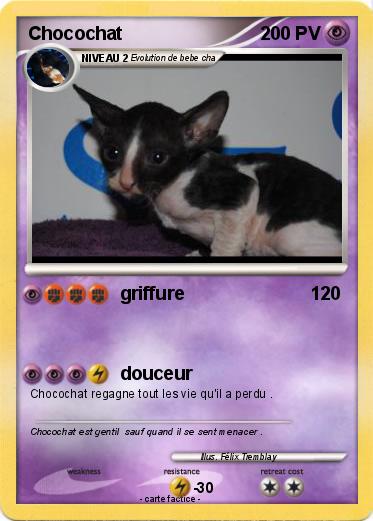 Pokemon Chocochat