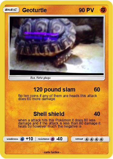 Pokemon Geoturtle