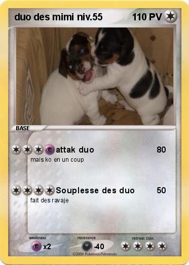 Pokemon duo des mimi niv.55