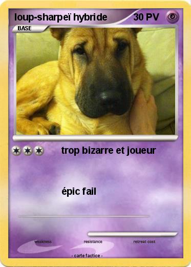 Pokemon loup-sharpeï hybride