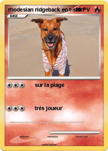 Pokemon rhodesian ridgeback en t-shirt