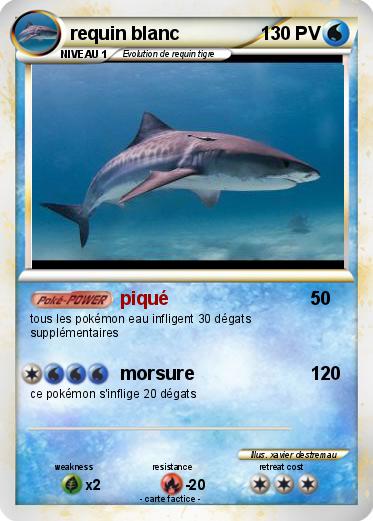 Pokemon requin blanc
