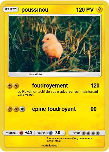 Pokemon poussinou