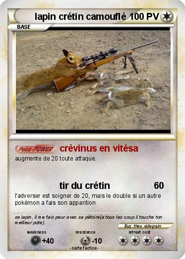 Pokemon lapin crétin camouflé