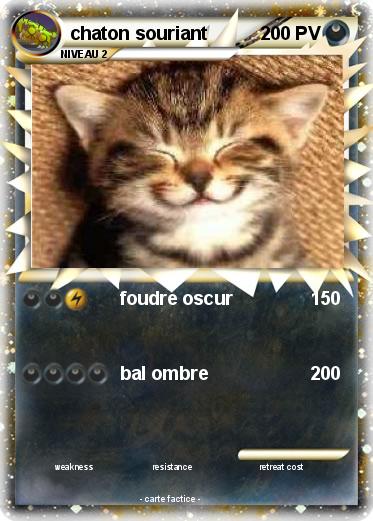Pokemon chaton souriant