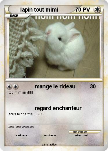 Pokemon lapin tout mimi