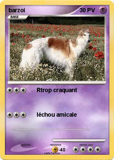 Pokemon barzoi