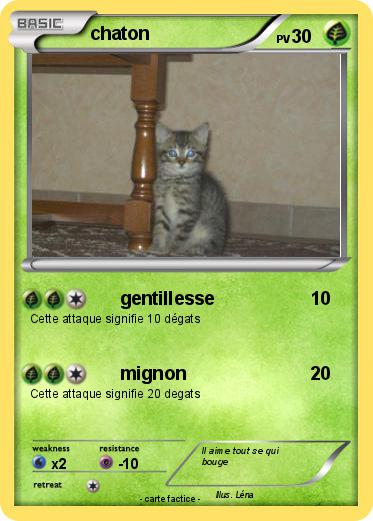 Pokemon chaton