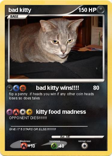 Pokemon bad kitty